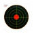 EAGLEYE 12 Inch Heavy Card TARGET - 5 PACK - SKU: EET12HC-5