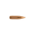 6 mm 95 Grain Classic Hunter Rifle Bullet