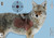 BIRCHWOOD CASEY PREGAME Coyote 16.5INx24IN - 3 Sheets - SKU: BC-35405