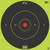 ProShot Splatter Shot 12 inch Green Bullseye Target with Tag Paper - 5 Pack - SKU: 12B-Green-TG-5PK