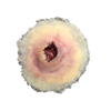 Techline Trauma Gunshot Entry Wound - Large
