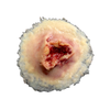 Techline Trauma Gunshot Exit Wound - Medium