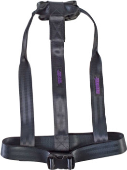 North American Rescue Dragon Harness