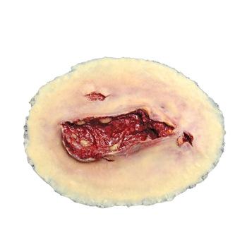 Techline Trauma Laceration Wound - Large