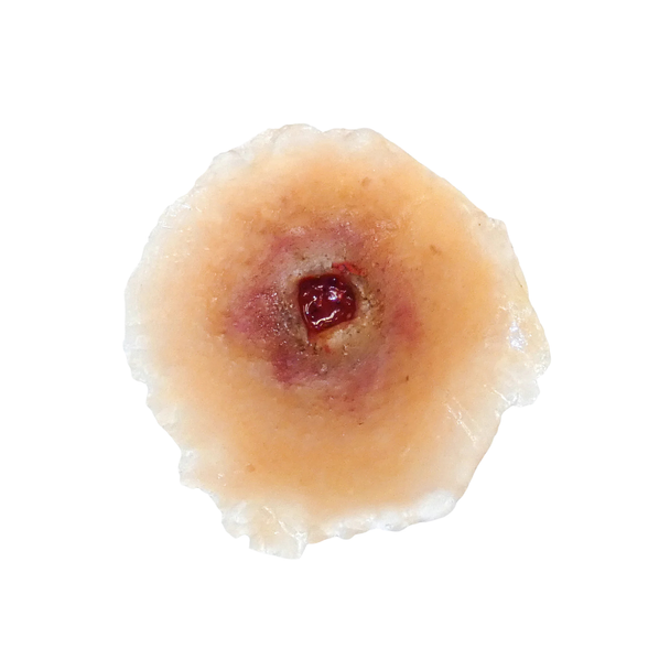 Techline Trauma Gunshot Entry Wound - Small