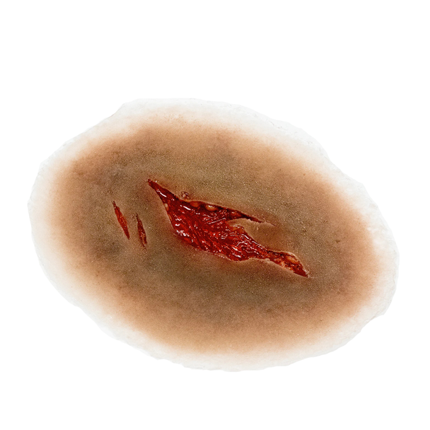 Techline Trauma Laceration Wound - Medium