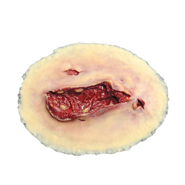 Techline Trauma Laceration Wound - Large