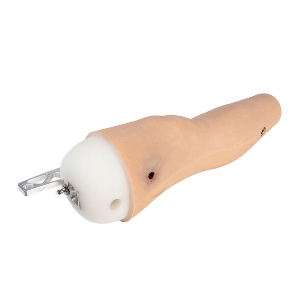 Multi-TOMManikin