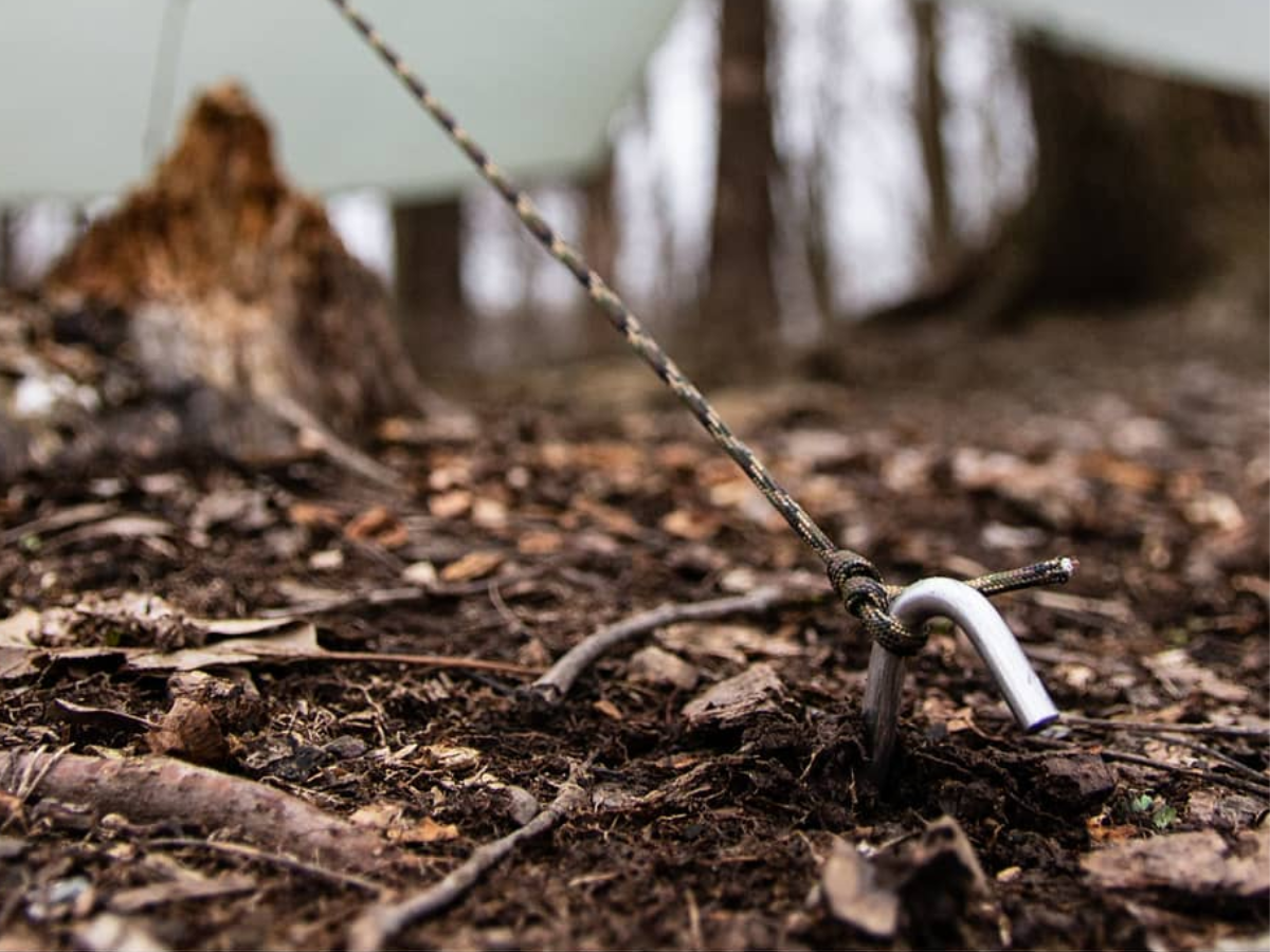 Cordage