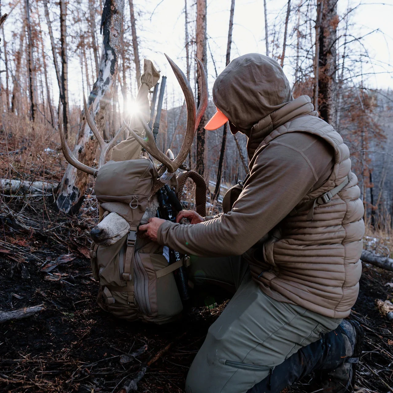 Hunter adjusting a loaded pack with antlers strapped on in a forest at sunrise