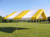 20' X 20' Replacement Cover Yellow/White