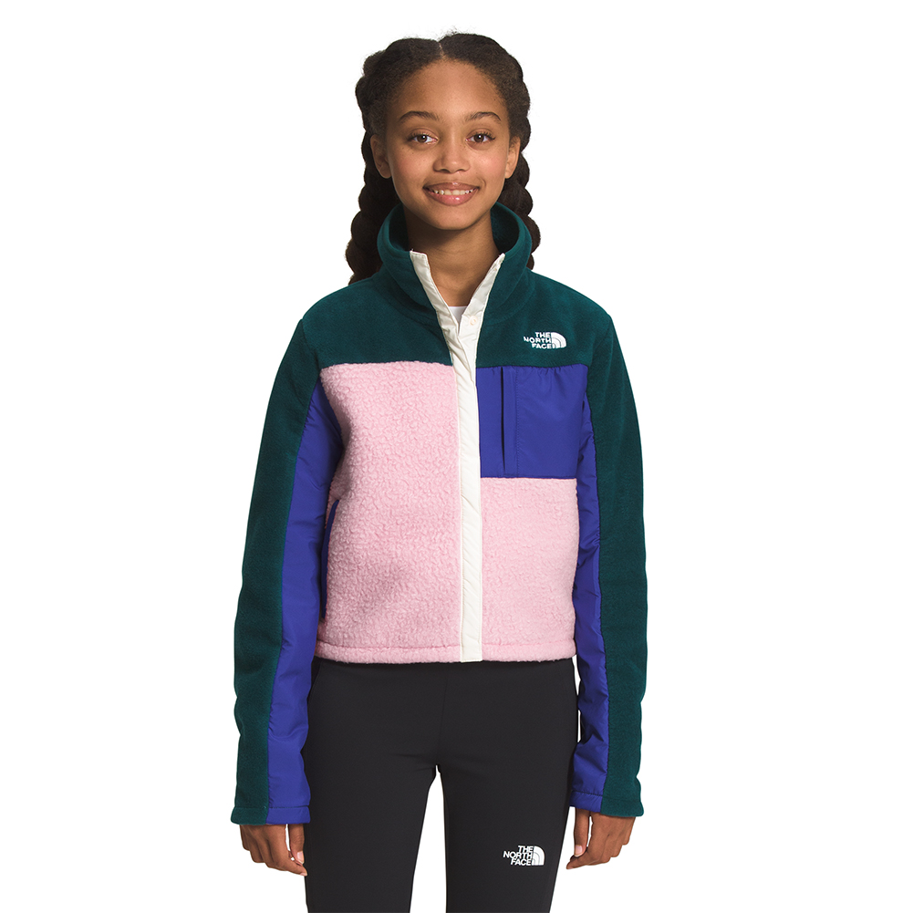 The North Face Boys' Tnf Tech Full Zip Hoodie - MetroShoe