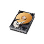 Western Digital Caviar SE EIDE 250GB ATA100 7200-RPM 8MB 3.5" HDD - RoHS Compliant