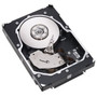 Seagate ST3300655LC Refurbished