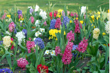 20th March 2025 Spring Equinox - Ostara