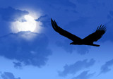 Full Moon Blessings!