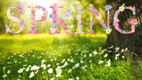 Spring