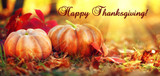 Happy Thanksgiving!
