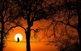 Full Super Moon, Hunter's moon blessings