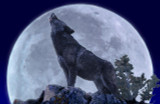 Full wolf moon blessings!