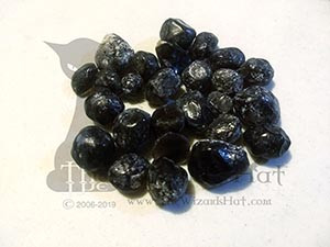 1 natural tumbled Apache Tears 1 natural tumbled Apache Tears