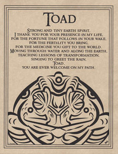 Toad Blessing poster                                                                                                     Toad Blessing poster