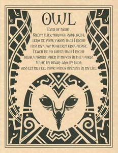 Owl poster                                                                                                              