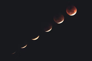 On the 10th day of Yule! On the 10th day of Yule!