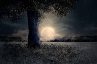 Full Moon Blessings!  3:00 A.M. ET on Monday, March 25, 2024
