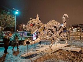 ​The tale of Jólakötturinn, which translates to Yule Cat.