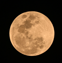 Full Pink Moon ? Blessings  Full Pink Moon ? Blessings