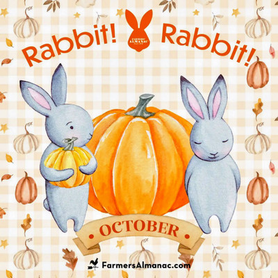 Say rabbit rabbit first thing for good luck! 
