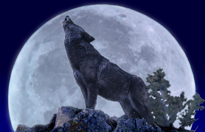Full wolf moon blessings!