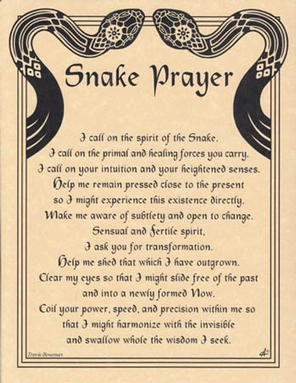 Snake Prayer poster                                                                                                     