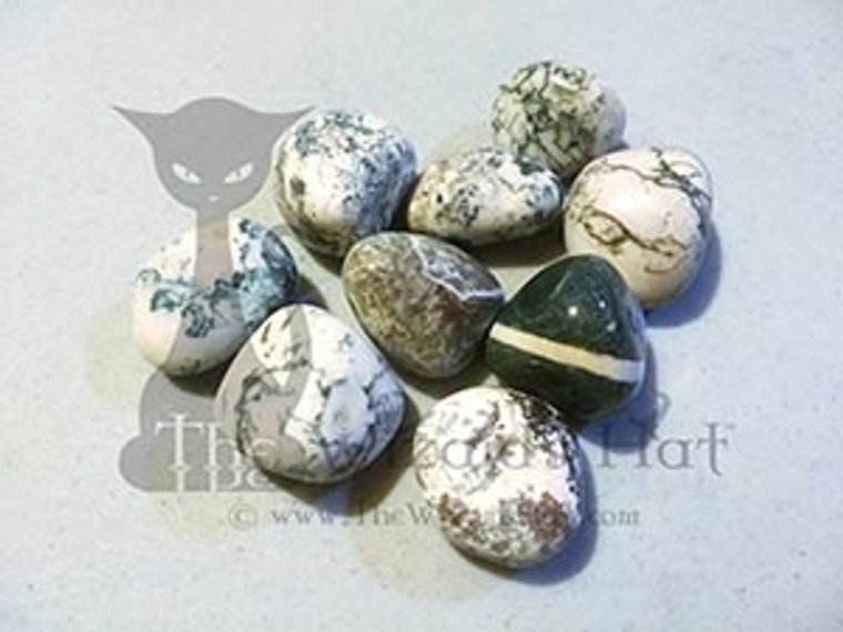 1 natural tumbled Green Tree Agate 1 natural tumbled Green Tree Agate