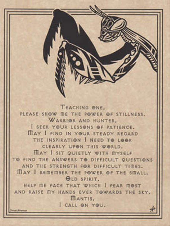 Mantis Prayer poster                                                                                                    