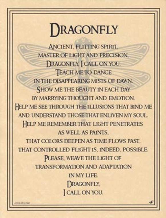 Dragonfly poster                                                                                                        