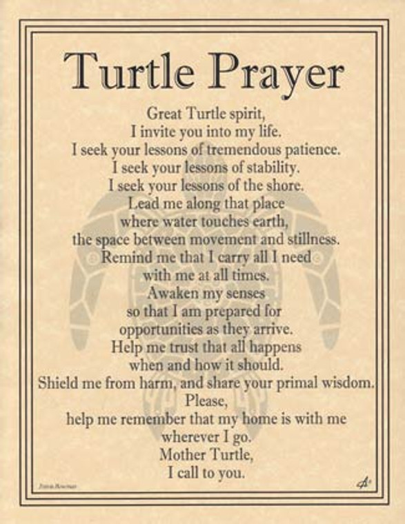 Turtle Prayer poster                                                                                                    