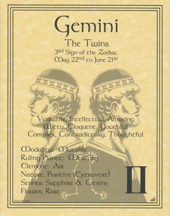 Gemini zodiac poster                                                                                                    