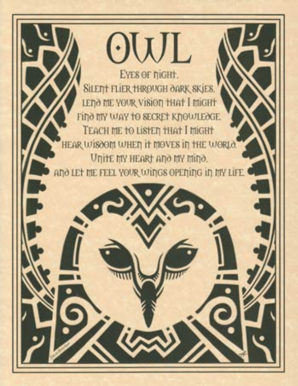 Owl poster                                                                                                              
