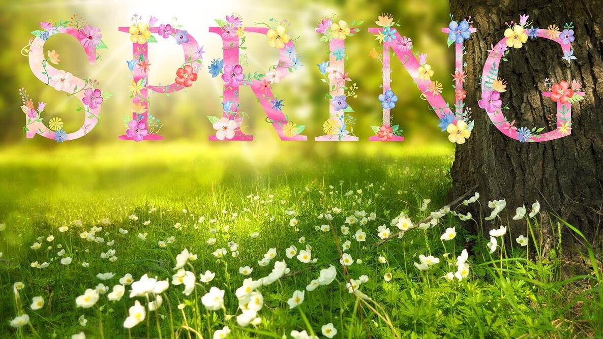 Spring - The Wizards Hat