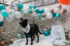 Pet-kerchief Bandana