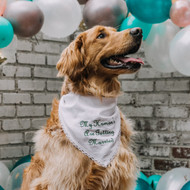 Introducing: Personalized Pet-kerchiefs