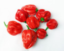Hot pepper