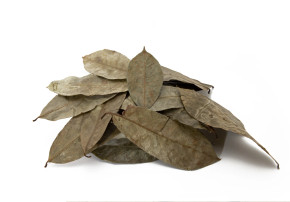 Rombi's Dried Organic Soursop Leaves Rombi's Dried Organic Soursop Leaves