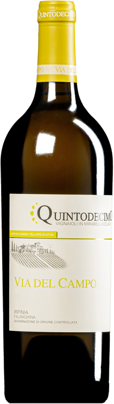 Quintodecimo Via del Campo Falanghina Irpinia, Campania, Italy