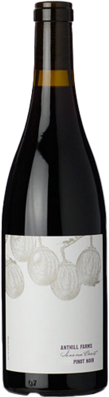 Anthill Farms Pinot Noir, Sonoma Coast