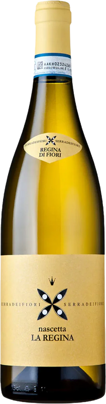 Braida Langhe Nascetta La Regina, Piedmont, Italy