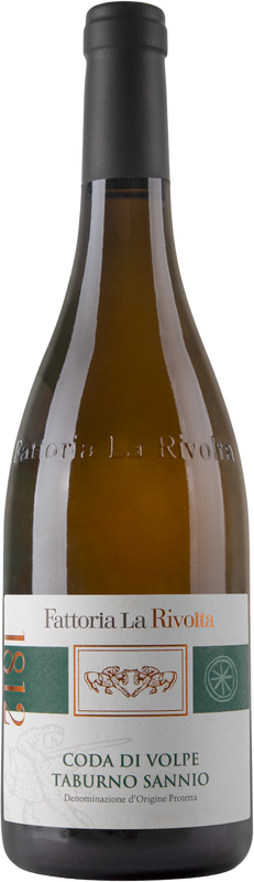 Fattoria La Rivolta Coda di Volpe, Taburno Sannio, Campania, Italy