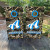 Custom camouflage cornhole boards featuring a hunting camo background, personalized name, and bold blue and white lettering. Perfect for outdoor enthusiasts, rustic weddings, and hunting-themed events